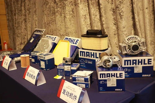 品牌引领 合作共赢 | 极配品牌专项活动丨马勒专场圆满落幕 & 技术交流