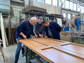 辛乙堂木业与意大利Blinfort携手共赢 开启中意木门技术交流新篇章